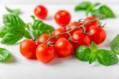 Taze vişneli domates ve dokulu taze yeşil fesleğen. Domates sosu. Vejetaryen. Salata için malzemeler. Organik yiyecekler. Mesaj için yer. Boşluğu kopyala.