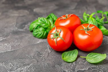 Taze vişneli domates ve dokulu taze yeşil fesleğen. Domates sosu. Vejetaryen. Salata için malzemeler. Organik yiyecekler. Mesaj için yer. Boşluğu kopyala.