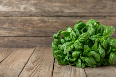 Ahşap kaplamalı yeşil fesleğen yaprakları. Mutfak otları, baharatlar. Taze yeşil organik fesleğen. Vejetaryen. Salata için yeşillik. Mesaj için yer. Boşluğu kopyala.