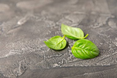 Ahşap kaplamalı yeşil fesleğen yaprakları. Mutfak otları, baharatlar. Taze yeşil organik fesleğen. Vejetaryen. Salata için yeşillik. Mesaj için yer. Boşluğu kopyala.