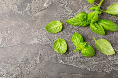 Ahşap kaplamalı yeşil fesleğen yaprakları. Mutfak otları, baharatlar. Taze yeşil organik fesleğen. Vejetaryen. Salata için yeşillik. Mesaj için yer. Boşluğu kopyala.