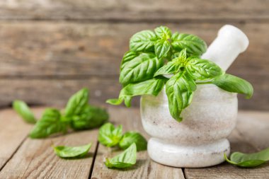 Ahşap kaplamalı havanda taze yeşil fesleğen. Organik baharatlar ve bitkiler. Vejetaryen. Taze mutfak bitkileri. Fesleğen taze fesleğen havan ve kabuklu pesto 'ya dönüştürülüyor. Boşluğu kopyala. Metin için yer