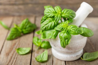 Ahşap kaplamalı havanda taze yeşil fesleğen. Organik baharatlar ve bitkiler. Vejetaryen. Taze mutfak bitkileri. Fesleğen taze fesleğen havan ve kabuklu pesto 'ya dönüştürülüyor. Boşluğu kopyala. Metin için yer