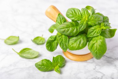 Ahşap kaplamalı havanda taze yeşil fesleğen. Organik baharatlar ve bitkiler. Vejetaryen. Taze mutfak bitkileri. Fesleğen taze fesleğen havan ve kabuklu pesto 'ya dönüştürülüyor. Boşluğu kopyala. Metin için yer