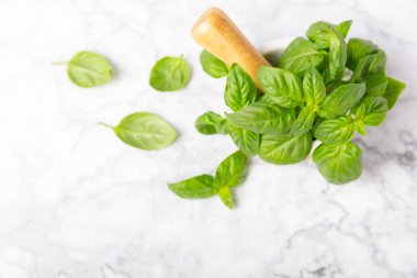 Ahşap kaplamalı havanda taze yeşil fesleğen. Organik baharatlar ve bitkiler. Vejetaryen. Taze mutfak bitkileri. Fesleğen taze fesleğen havan ve kabuklu pesto 'ya dönüştürülüyor. Boşluğu kopyala. Metin için yer