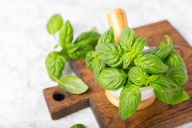 Ahşap kaplamalı havanda taze yeşil fesleğen. Organik baharatlar ve bitkiler. Vejetaryen. Taze mutfak bitkileri. Fesleğen taze fesleğen havan ve kabuklu pesto 'ya dönüştürülüyor. Boşluğu kopyala. Metin için yer