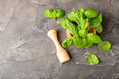 Ahşap kaplamalı havanda taze yeşil fesleğen. Organik baharatlar ve bitkiler. Vejetaryen. Taze mutfak bitkileri. Fesleğen taze fesleğen havan ve kabuklu pesto 'ya dönüştürülüyor. Boşluğu kopyala. Metin için yer