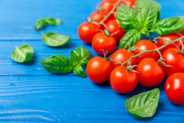 Taze vişneli domates ve dokulu taze yeşil fesleğen. Domates sosu. Vejetaryen. Salata için malzemeler. Organik yiyecekler. Mesaj için yer. Boşluğu kopyala.
