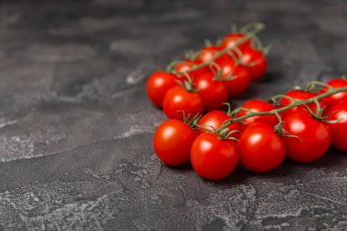 Taze vişneli domates ve dokulu taze yeşil fesleğen. Domates sosu. Vejetaryen. Salata için malzemeler. Organik yiyecekler. Mesaj için yer. Boşluğu kopyala.
