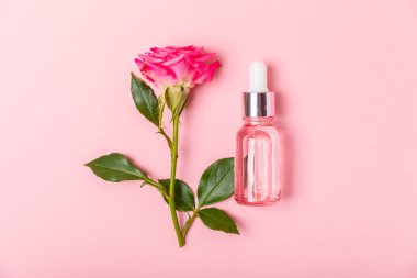 Arka planda gül yağı. Güller ve bir şişe parfümlü su. Romaterapi tedavisi. Güzellik konsepti. Spa prosedürü. Doğal organik yağ. Stres önleyici, detoks gevşetici.