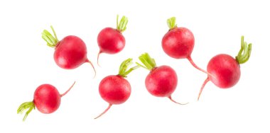 Beyaz arka planda taze turp izole edildi. Organik turp dilimleri. Kök kırpma. Sebzeler. Vejetaryen. Diyet ürünleri. Sağlıklı yemek..