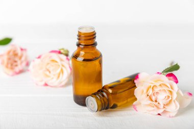 Arka planda gül yağı. Güller ve bir şişe parfümlü su. Romaterapi tedavisi. Güzellik konsepti. Spa prosedürü. Doğal organik yağ. Stres önleyici, detoks gevşetici.