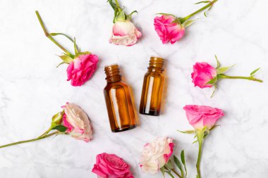Arka planda gül yağı. Güller ve bir şişe parfümlü su. Romaterapi tedavisi. Güzellik konsepti. Spa prosedürü. Doğal organik yağ. Stres önleyici, detoks gevşetici.