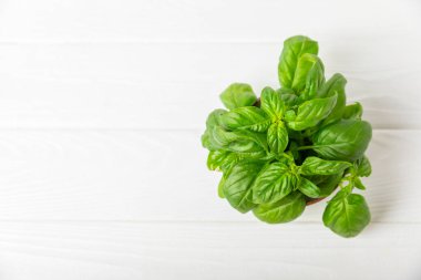 Ahşap kaplamalı yeşil fesleğen yaprakları. Mutfak otları, baharatlar. Taze yeşil organik fesleğen. Vejetaryen. Salata için yeşillik. Mesaj için yer. Boşluğu kopyala.