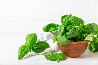 Ahşap kaplamalı yeşil fesleğen yaprakları. Mutfak otları, baharatlar. Taze yeşil organik fesleğen. Vejetaryen. Salata için yeşillik. Mesaj için yer. Boşluğu kopyala.