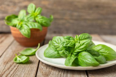 Ahşap kaplamalı yeşil fesleğen yaprakları. Mutfak otları, baharatlar. Taze yeşil organik fesleğen. Vejetaryen. Salata için yeşillik. Mesaj için yer. Boşluğu kopyala.