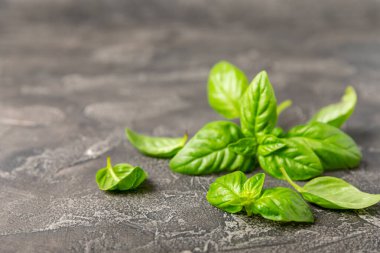 Ahşap kaplamalı yeşil fesleğen yaprakları. Mutfak otları, baharatlar. Taze yeşil organik fesleğen. Vejetaryen. Salata için yeşillik. Mesaj için yer. Boşluğu kopyala.