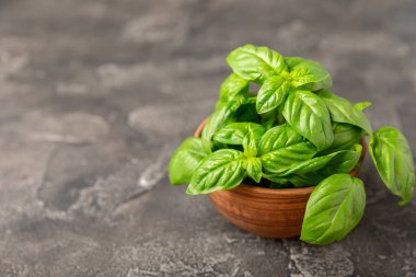 Ahşap kaplamalı yeşil fesleğen yaprakları. Mutfak otları, baharatlar. Taze yeşil organik fesleğen. Vejetaryen. Salata için yeşillik. Mesaj için yer. Boşluğu kopyala.