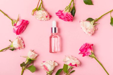 Arka planda gül yağı. Güller ve bir şişe parfümlü su. Romaterapi tedavisi. Güzellik konsepti. Spa prosedürü. Doğal organik yağ. Stres önleyici, detoks gevşetici.