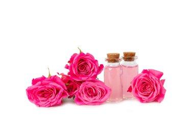 Beyaz arka planda yalıtılmış gül yağı. Güller ve bir şişe gül kokulu su. Aromaterapi tedavisi. Güzellik konsepti. Spa işlemi. Doğal organik yağ. Stres önleyici ve detoks gevşetici..