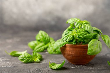 Ahşap kaplamalı yeşil fesleğen yaprakları. Mutfak otları, baharatlar. Taze yeşil organik fesleğen. Vejetaryen. Salata için yeşillik. Mesaj için yer. Boşluğu kopyala.