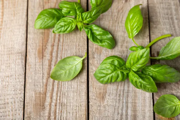 Ahşap kaplamalı yeşil fesleğen yaprakları. Mutfak otları, baharatlar. Taze yeşil organik fesleğen. Vejetaryen. Salata için yeşillik. Mesaj için yer. Boşluğu kopyala.