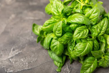 Ahşap kaplamalı yeşil fesleğen yaprakları. Mutfak otları, baharatlar. Taze yeşil organik fesleğen. Vejetaryen. Salata için yeşillik. Mesaj için yer. Boşluğu kopyala.