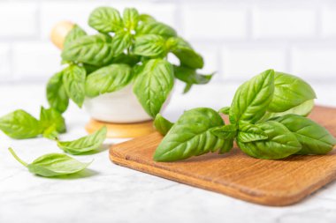 Ahşap kaplamalı yeşil fesleğen yaprakları. Mutfak otları, baharatlar. Taze yeşil organik fesleğen. Vejetaryen. Salata için yeşillik. Mesaj için yer. Boşluğu kopyala.