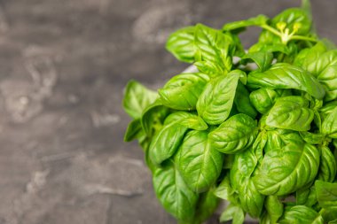 Ahşap kaplamalı yeşil fesleğen yaprakları. Mutfak otları, baharatlar. Taze yeşil organik fesleğen. Vejetaryen. Salata için yeşillik. Mesaj için yer. Boşluğu kopyala.