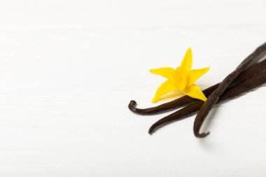 Dokulu bir arka planda vanilya kabukları. Vanilya çiçekleri ve tohumlar. Vanilyalı fasulye. Hamur işleri ve tatlılar için baharatlı baharat. Baharat. Mesaj için yer var. Boşluğu Kopyala