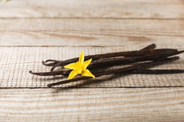 Dokulu bir arka planda vanilya kabukları. Vanilya çiçekleri ve tohumlar. Vanilyalı fasulye. Hamur işleri ve tatlılar için baharatlı baharat. Baharat. Mesaj için yer var. Boşluğu Kopyala