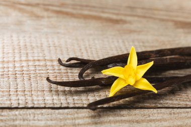 Dokulu bir arka planda vanilya kabukları. Vanilya çiçekleri ve tohumlar. Vanilyalı fasulye. Hamur işleri ve tatlılar için baharatlı baharat. Baharat. Mesaj için yer var. Boşluğu Kopyala