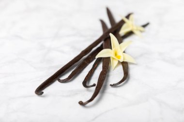 Dokulu bir arka planda vanilya kabukları. Vanilya çiçekleri ve tohumlar. Vanilyalı fasulye. Hamur işleri ve tatlılar için baharatlı baharat. Baharat. Mesaj için yer var. Boşluğu Kopyala