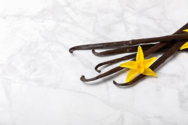 Dokulu bir arka planda vanilya kabukları. Vanilya çiçekleri ve tohumlar. Vanilyalı fasulye. Hamur işleri ve tatlılar için baharatlı baharat. Baharat. Mesaj için yer var. Boşluğu Kopyala