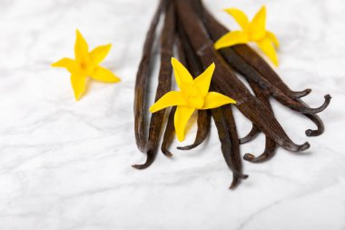 Dokulu bir arka planda vanilya kabukları. Vanilya çiçekleri ve tohumlar. Vanilyalı fasulye. Hamur işleri ve tatlılar için baharatlı baharat. Baharat. Mesaj için yer var. Boşluğu Kopyala