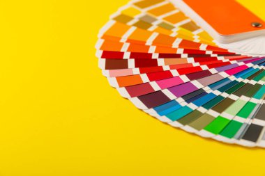 Parlak renkli arka planda renk paleti. Renkli palet rehberi. Gökkuşağı renklerinin kağıt kataloğu. Yaratıcı. Palet, trend renk örnekleri. Renk örnekleri. Dekor ve iç mimar. Üst görünüm. 