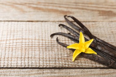 Dokulu bir arka planda vanilya kabukları. Vanilya çiçekleri ve tohumlar. Vanilyalı fasulye. Hamur işleri ve tatlılar için baharatlı baharat. Baharat. Mesaj için yer var. Boşluğu Kopyala