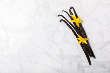 Dokulu bir arka planda vanilya kabukları. Vanilya çiçekleri ve tohumlar. Vanilyalı fasulye. Hamur işleri ve tatlılar için baharatlı baharat. Baharat. Mesaj için yer var. Boşluğu Kopyala