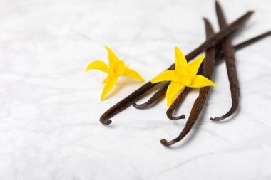 Dokulu bir arka planda vanilya kabukları. Vanilya çiçekleri ve tohumlar. Vanilyalı fasulye. Hamur işleri ve tatlılar için baharatlı baharat. Baharat. Mesaj için yer var. Boşluğu Kopyala