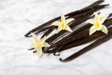 Dokulu bir arka planda vanilya kabukları. Vanilya çiçekleri ve tohumlar. Vanilyalı fasulye. Hamur işleri ve tatlılar için baharatlı baharat. Baharat. Mesaj için yer var. Boşluğu Kopyala