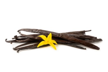 Beyaz arka planda izole edilmiş vanilya kabukları. Vanilya çiçekleri ve tohumlar. Vanilyalı fasulye. Hamur işleri ve tatlılar için baharatlı baharat. Baharat. Mesaj için yer var. Boşluğu Kopyala