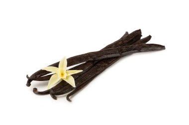 Beyaz arka planda izole edilmiş vanilya kabukları. Vanilya çiçekleri ve tohumlar. Vanilyalı fasulye. Hamur işleri ve tatlılar için baharatlı baharat. Baharat. Mesaj için yer var. Boşluğu Kopyala