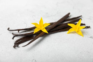 Dokulu bir arka planda vanilya kabukları. Vanilya çiçekleri ve tohumlar. Vanilyalı fasulye. Hamur işleri ve tatlılar için baharatlı baharat. Baharat. Mesaj için yer var. Boşluğu Kopyala