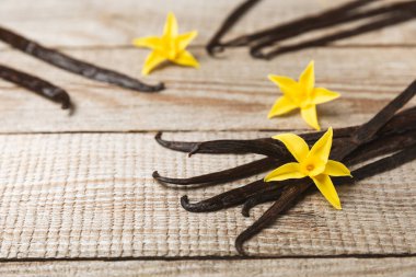 Dokulu bir arka planda vanilya kabukları. Vanilya çiçekleri ve tohumlar. Vanilyalı fasulye. Hamur işleri ve tatlılar için baharatlı baharat. Baharat. Mesaj için yer var. Boşluğu Kopyala