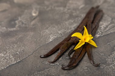 Dokulu bir arka planda vanilya kabukları. Vanilya çiçekleri ve tohumlar. Vanilyalı fasulye. Hamur işleri ve tatlılar için baharatlı baharat. Baharat. Mesaj için yer var. Boşluğu Kopyala