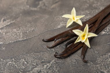 Dokulu bir arka planda vanilya kabukları. Vanilya çiçekleri ve tohumlar. Vanilyalı fasulye. Hamur işleri ve tatlılar için baharatlı baharat. Baharat. Mesaj için yer var. Boşluğu Kopyala