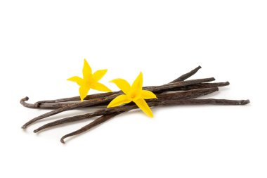 Beyaz arka planda izole edilmiş vanilya kabukları. Vanilya çiçekleri ve tohumlar. Vanilyalı fasulye. Hamur işleri ve tatlılar için baharatlı baharat. Baharat. Mesaj için yer var. Boşluğu Kopyala