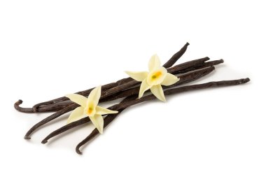 Beyaz arka planda izole edilmiş vanilya kabukları. Vanilya çiçekleri ve tohumlar. Vanilyalı fasulye. Hamur işleri ve tatlılar için baharatlı baharat. Baharat. Mesaj için yer var. Boşluğu Kopyala