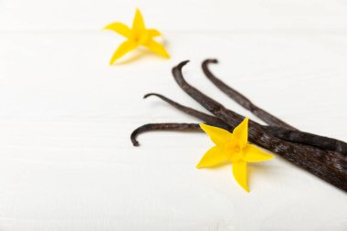 Dokulu bir arka planda vanilya kabukları. Vanilya çiçekleri ve tohumlar. Vanilyalı fasulye. Hamur işleri ve tatlılar için baharatlı baharat. Baharat. Mesaj için yer var. Boşluğu Kopyala