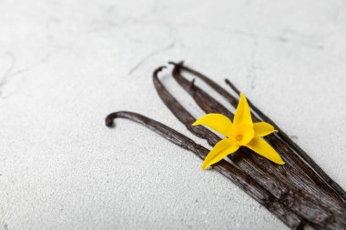 Dokulu bir arka planda vanilya kabukları. Vanilya çiçekleri ve tohumlar. Vanilyalı fasulye. Hamur işleri ve tatlılar için baharatlı baharat. Baharat. Mesaj için yer var. Boşluğu Kopyala